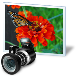 Roayalty Free Photos